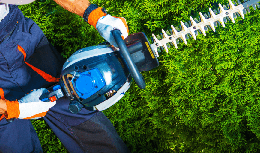 HAZARDOUS TREE MITIGATION
